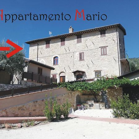 Appartamenti Cardinali Assise Extérieur photo